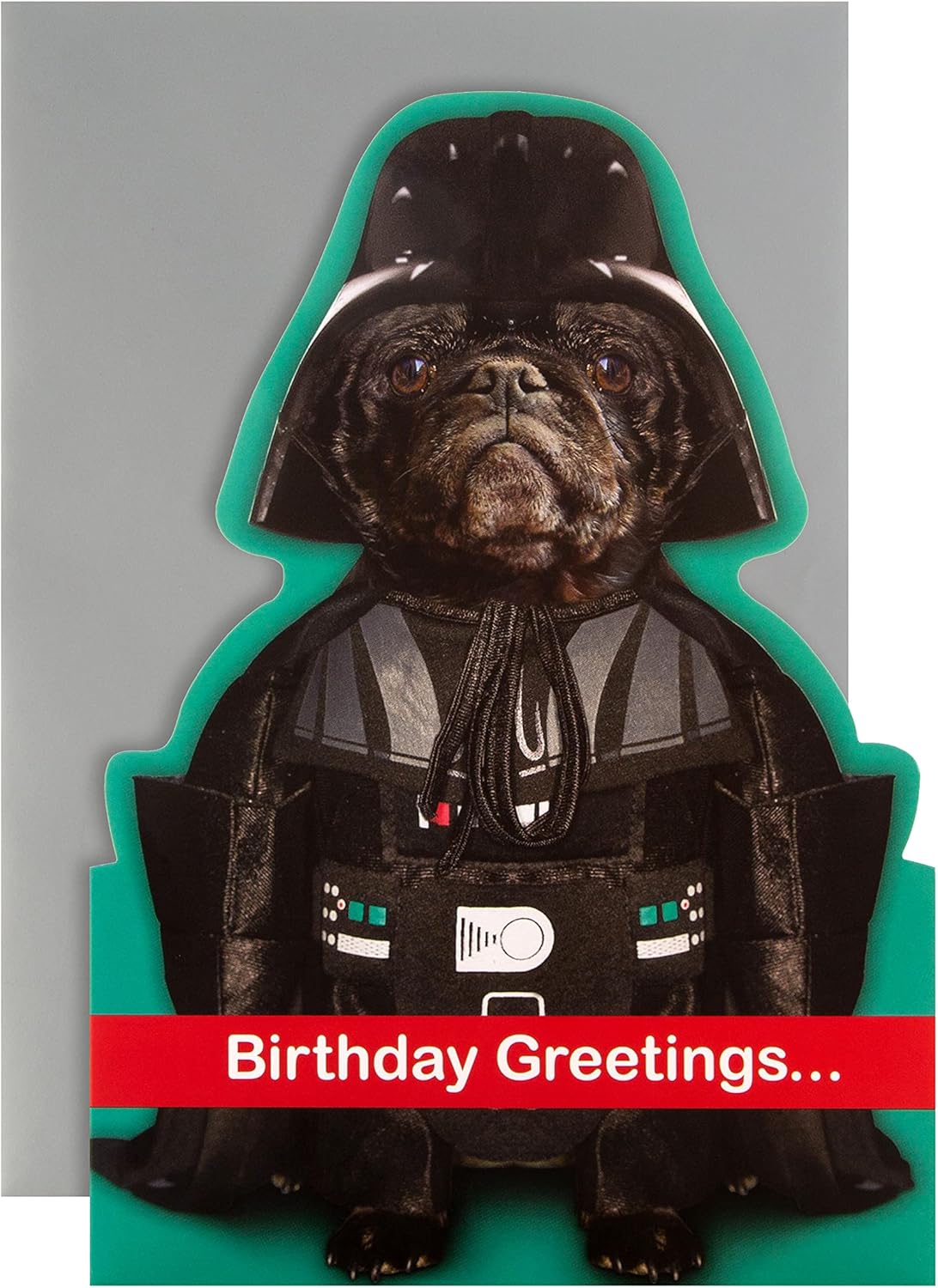 Hallmark Pug Birthday Card - Funny Disney Star Wars Design