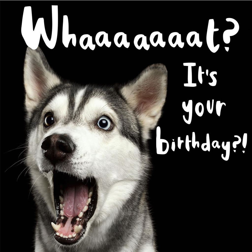 What? It's Your Birthday Greetings Card