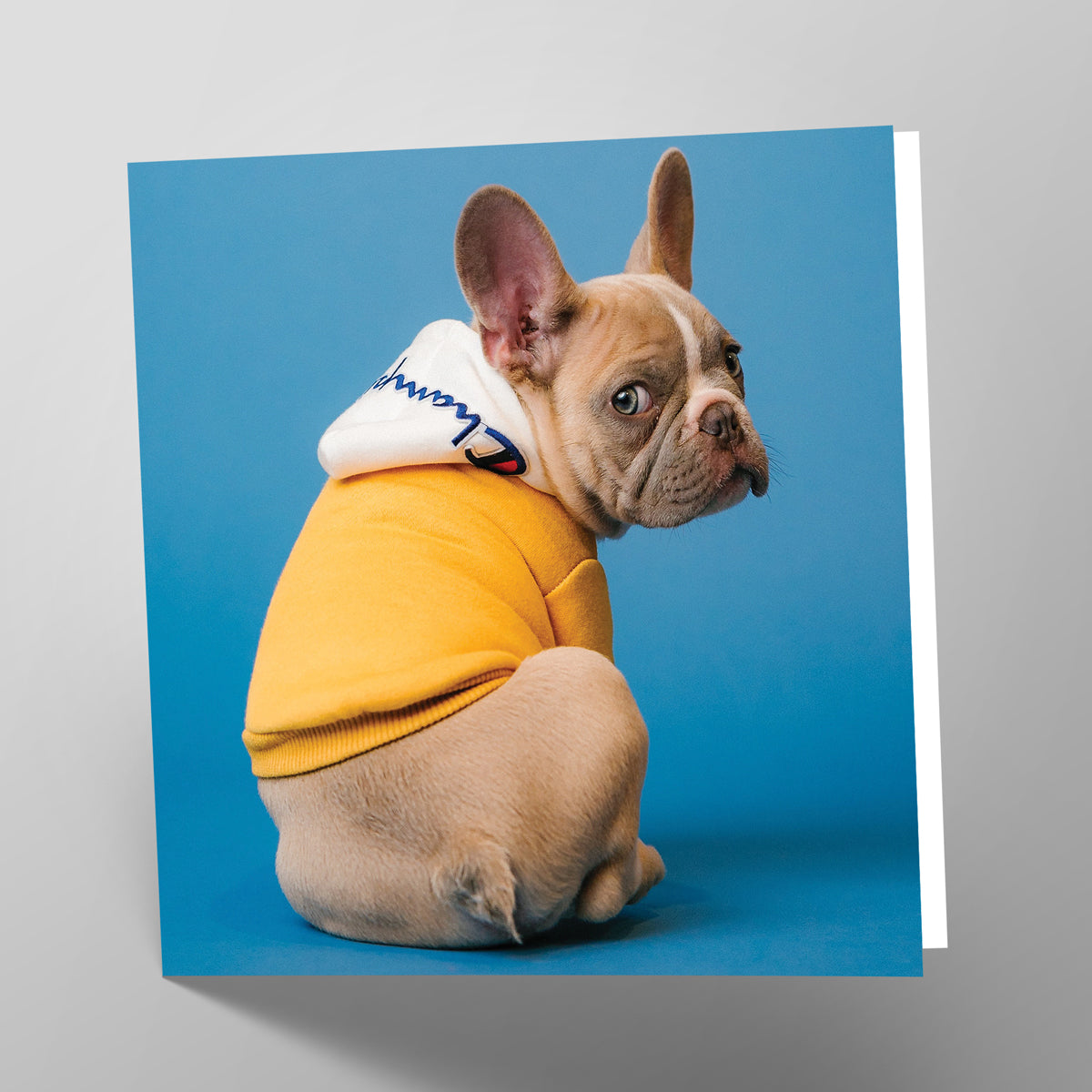 French Bulldog Card